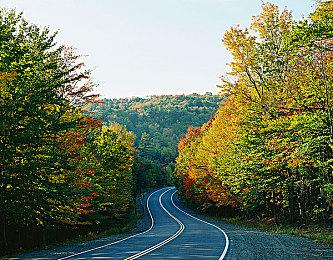 Windows 11将追加谷歌安卓13功能